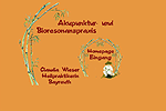 Akupunktur und Bioresonanzpraxis Heilpraktikerin Wieser Bayreuth Bayreuth