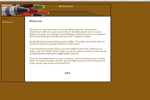 MS - Druck Ltd