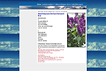 Gerhard Hartusch M�hlacker