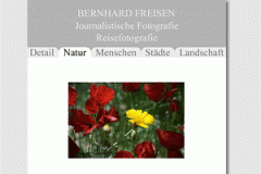 Bernhard Freisen Berlin Logo von Bernhard Freisen