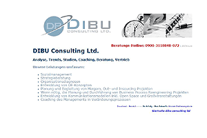 DIBU Consulting Ltd.