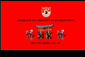 BUSHIDO DOJO  - TSV K�SSLARN eV